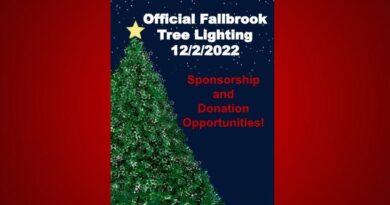 Official Fallbrook Tree Lighting